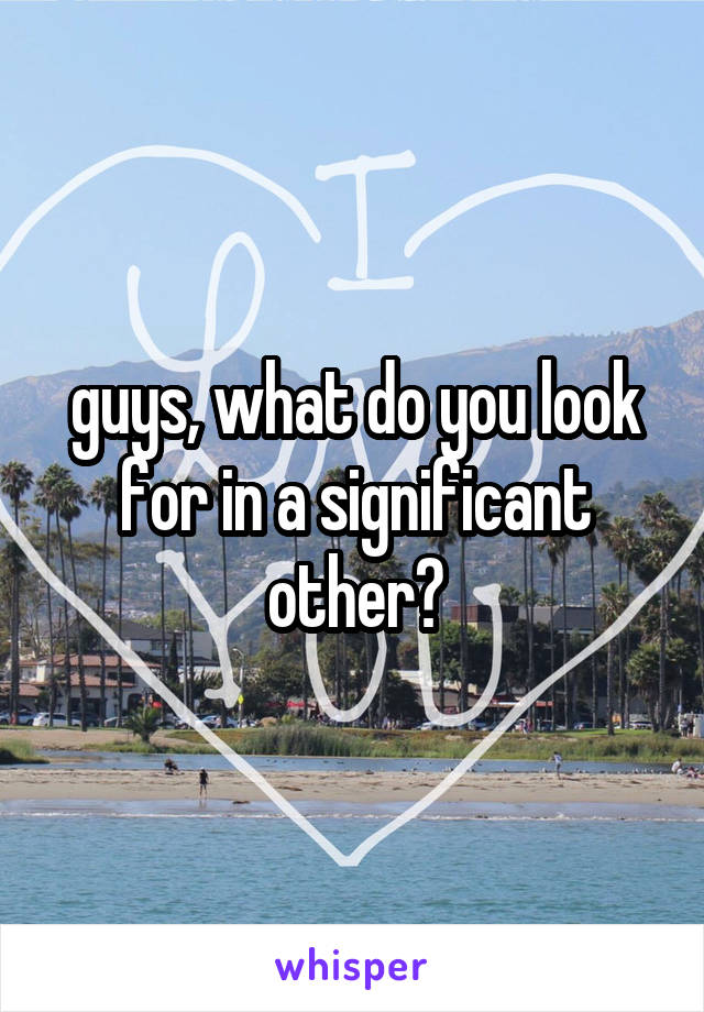 guys, what do you look for in a significant other?