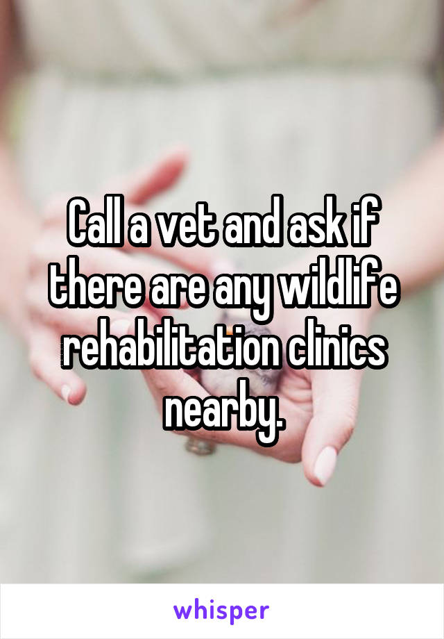 Call a vet and ask if there are any wildlife rehabilitation clinics nearby.