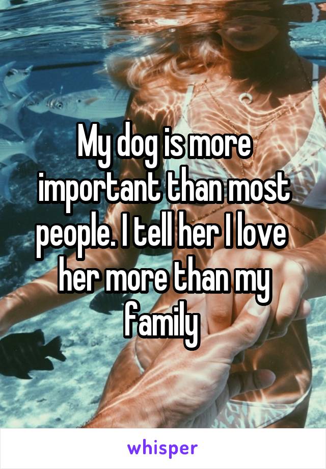 My dog is more important than most people. I tell her I love  her more than my family 