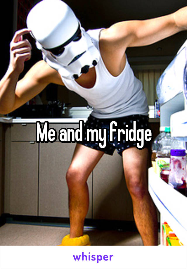Me and my fridge