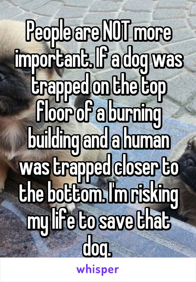 People are NOT more important. If a dog was trapped on the top floor of a burning building and a human was trapped closer to the bottom. I'm risking my life to save that dog. 