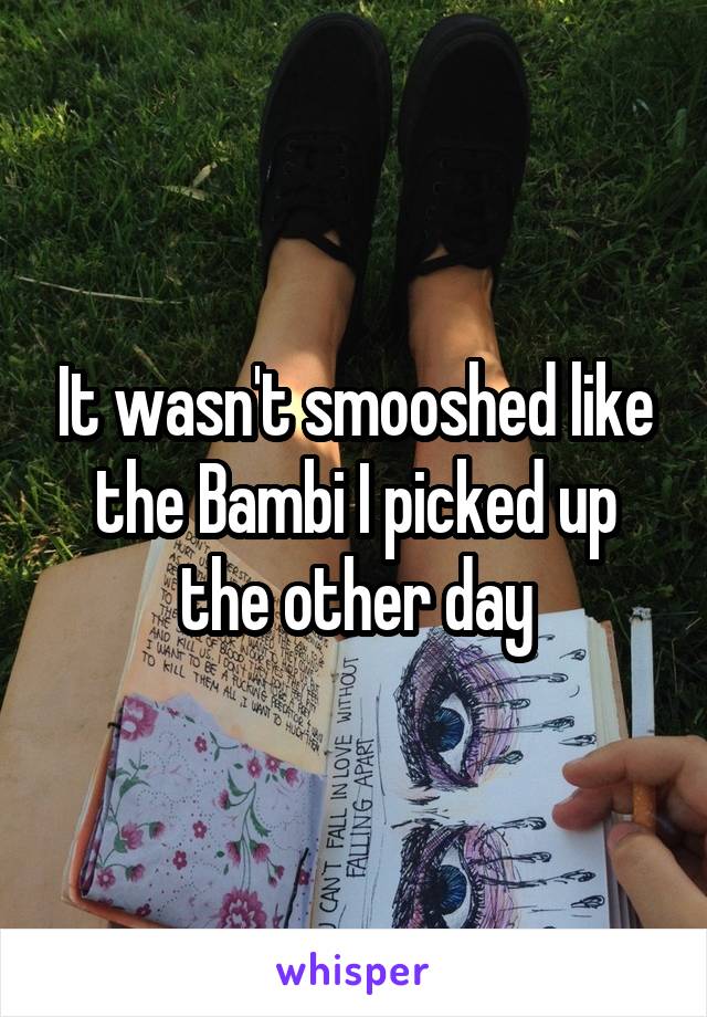 It wasn't smooshed like the Bambi I picked up the other day