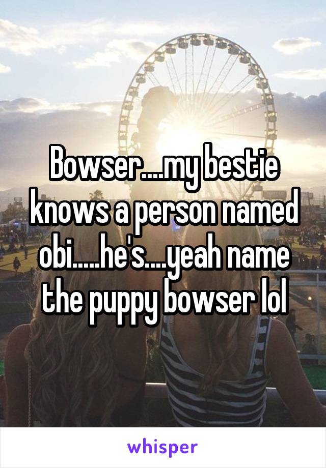 Bowser....my bestie knows a person named obi.....he's....yeah name the puppy bowser lol