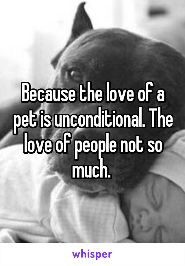 Because the love of a pet is unconditional. The love of people not so much. 