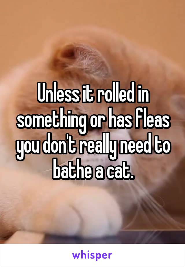 Unless it rolled in something or has fleas you don't really need to bathe a cat.