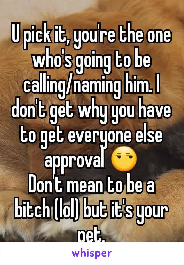 U pick it, you're the one who's going to be calling/naming him. I don't get why you have to get everyone else approval 😒
Don't mean to be a bitch (lol) but it's your pet.