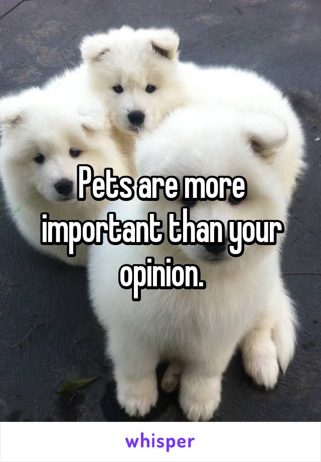 Pets are more important than your opinion.