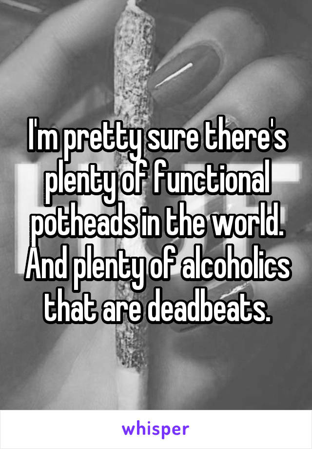 I'm pretty sure there's plenty of functional potheads in the world. And plenty of alcoholics that are deadbeats.