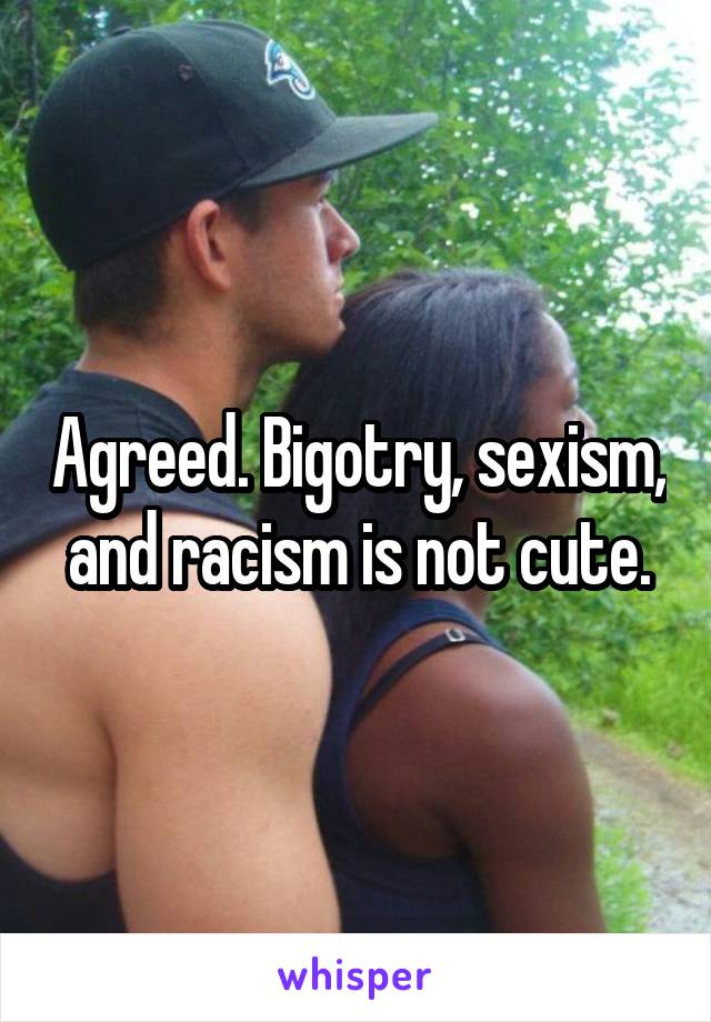 Agreed. Bigotry, sexism, and racism is not cute.