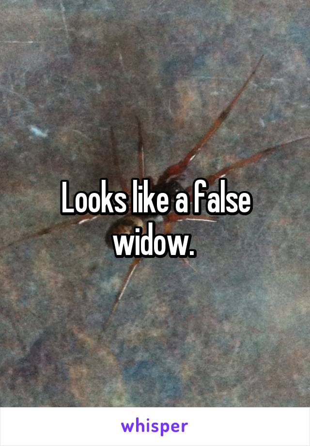 Looks like a false widow. 