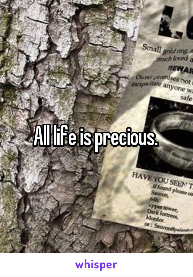 All life is precious. 