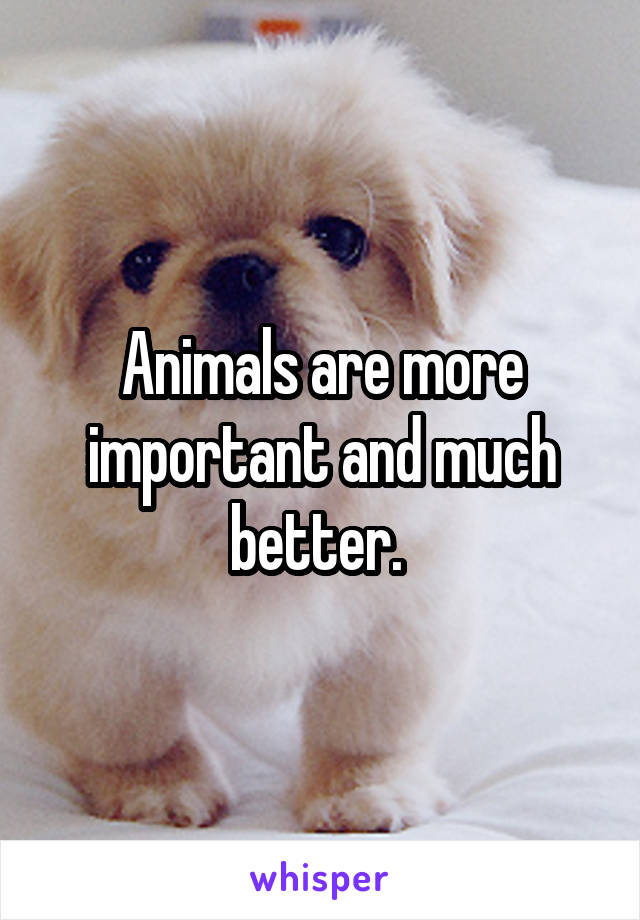 Animals are more important and much better. 