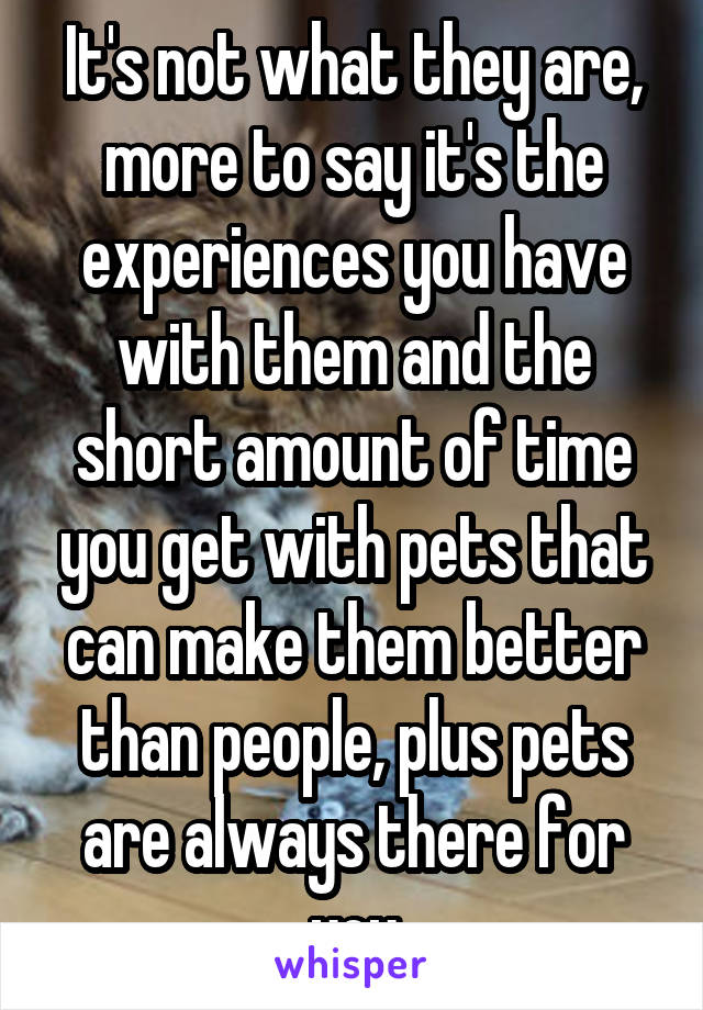 It's not what they are, more to say it's the experiences you have with them and the short amount of time you get with pets that can make them better than people, plus pets are always there for you