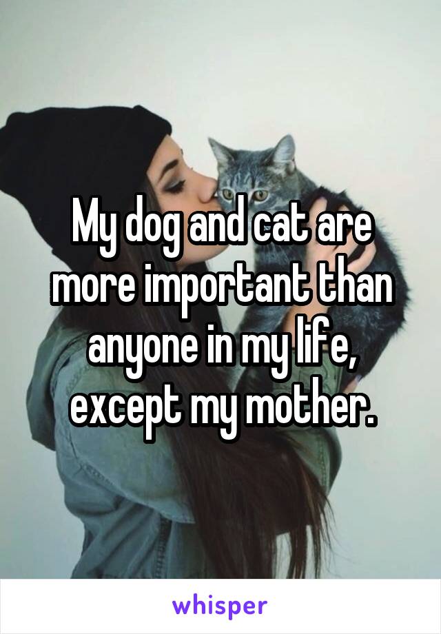 My dog and cat are more important than anyone in my life, except my mother.