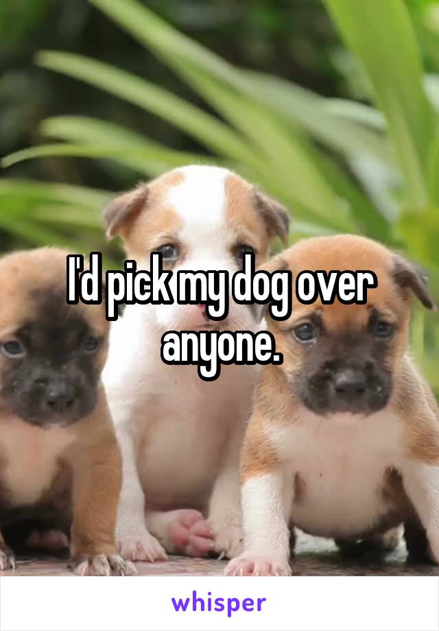 I'd pick my dog over anyone.