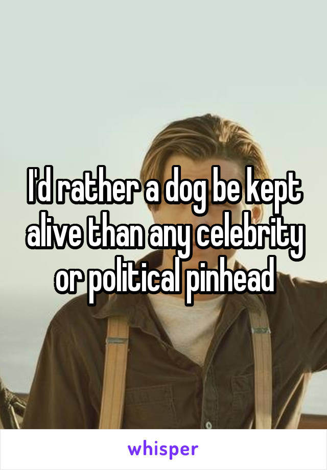 I'd rather a dog be kept alive than any celebrity or political pinhead