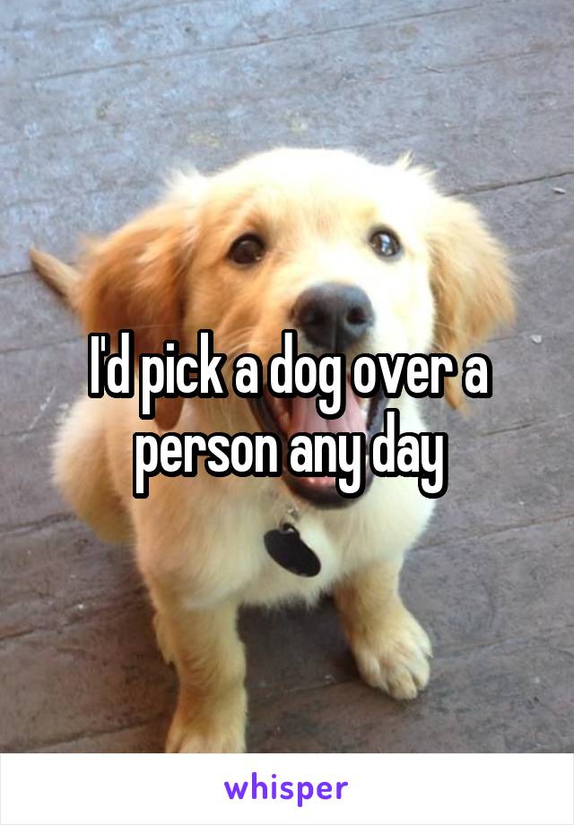 I'd pick a dog over a person any day