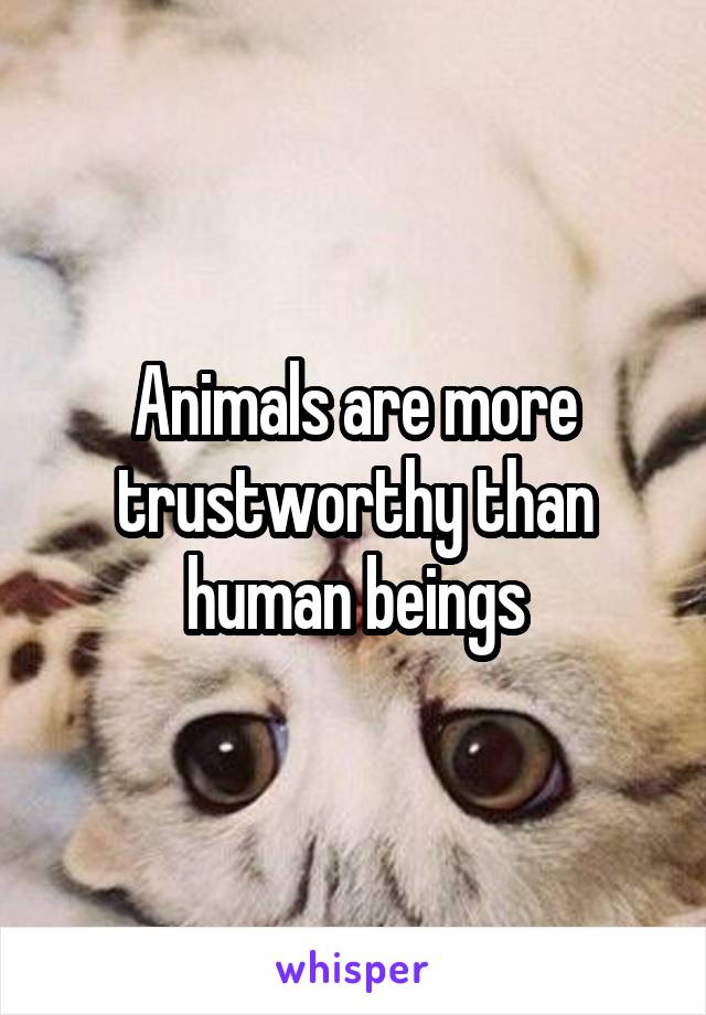 Animals are more trustworthy than human beings