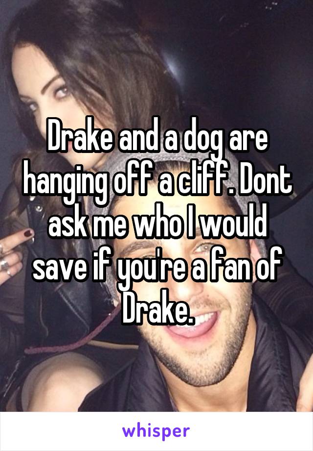 Drake and a dog are hanging off a cliff. Dont ask me who I would save if you're a fan of Drake.