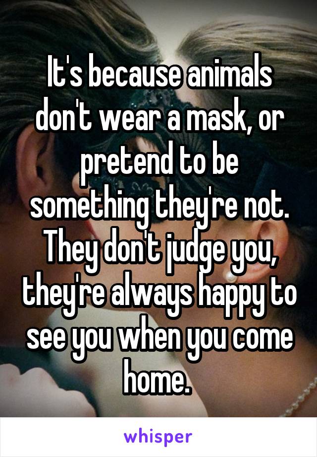 It's because animals don't wear a mask, or pretend to be something they're not. They don't judge you, they're always happy to see you when you come home. 