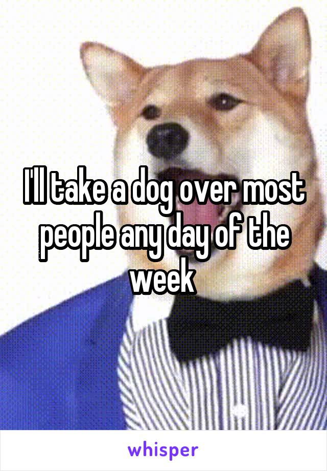 I'll take a dog over most people any day of the week 