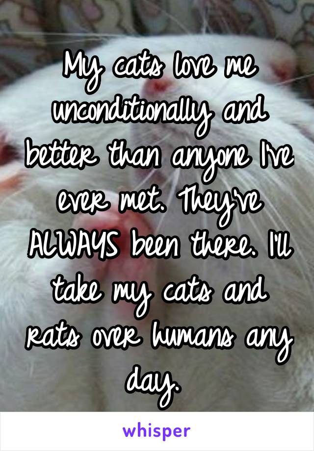 My cats love me unconditionally and better than anyone I've ever met. They've ALWAYS been there. I'll take my cats and rats over humans any day. 