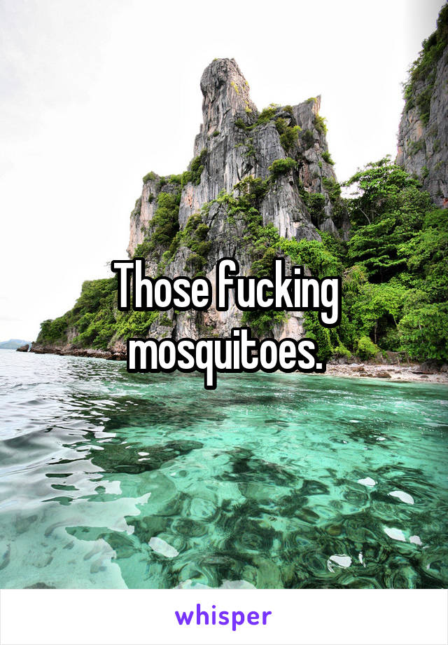 Those fucking mosquitoes.