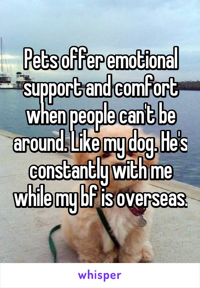 Pets offer emotional support and comfort when people can't be around. Like my dog. He's constantly with me while my bf is overseas. 