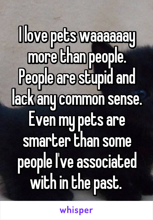 I love pets waaaaaay more than people. People are stupid and lack any common sense. Even my pets are smarter than some people I've associated with in the past. 