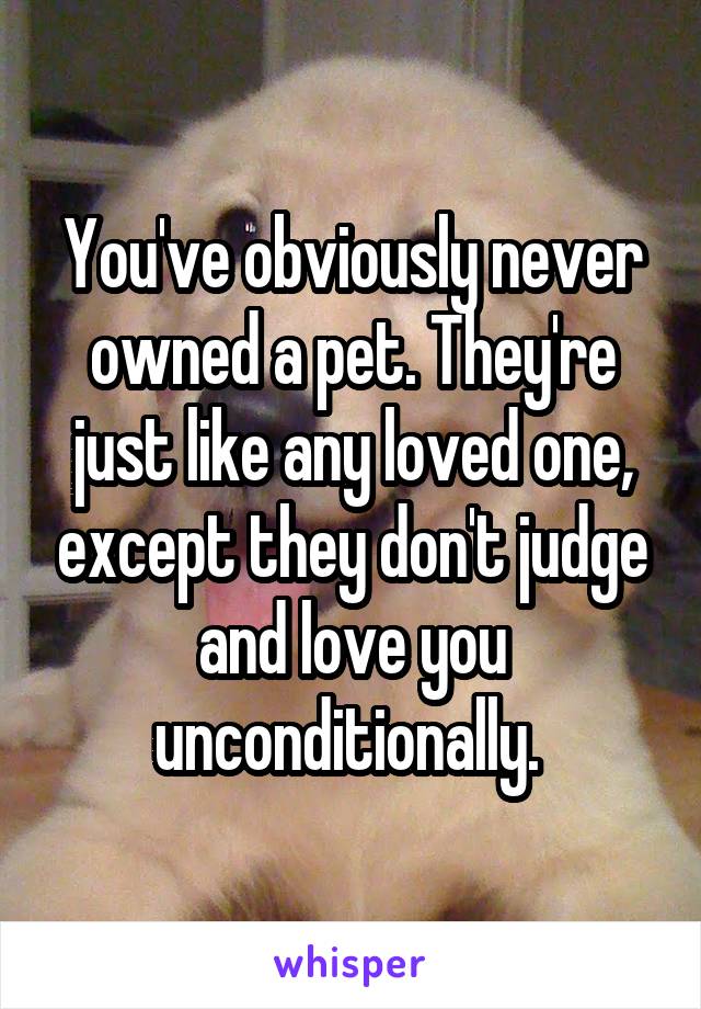 You've obviously never owned a pet. They're just like any loved one, except they don't judge and love you unconditionally. 