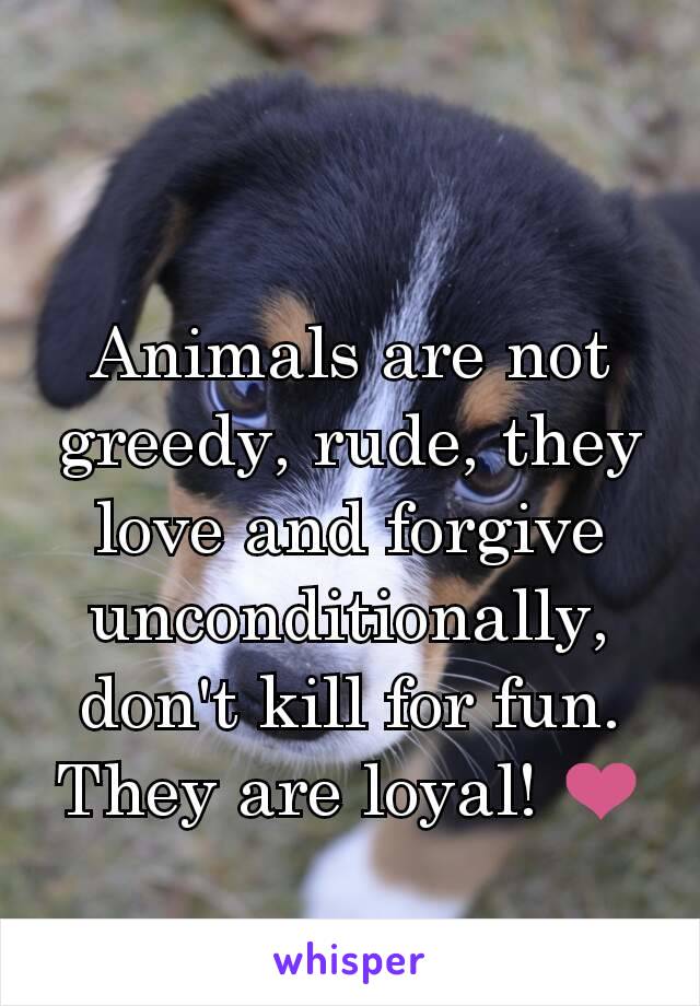 Animals are not greedy, rude, they love and forgive unconditionally, don't kill for fun. They are loyal! ❤