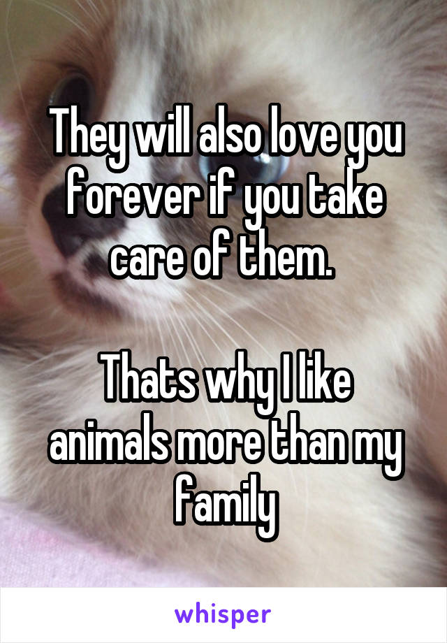 They will also love you forever if you take care of them. 

Thats why I like animals more than my family