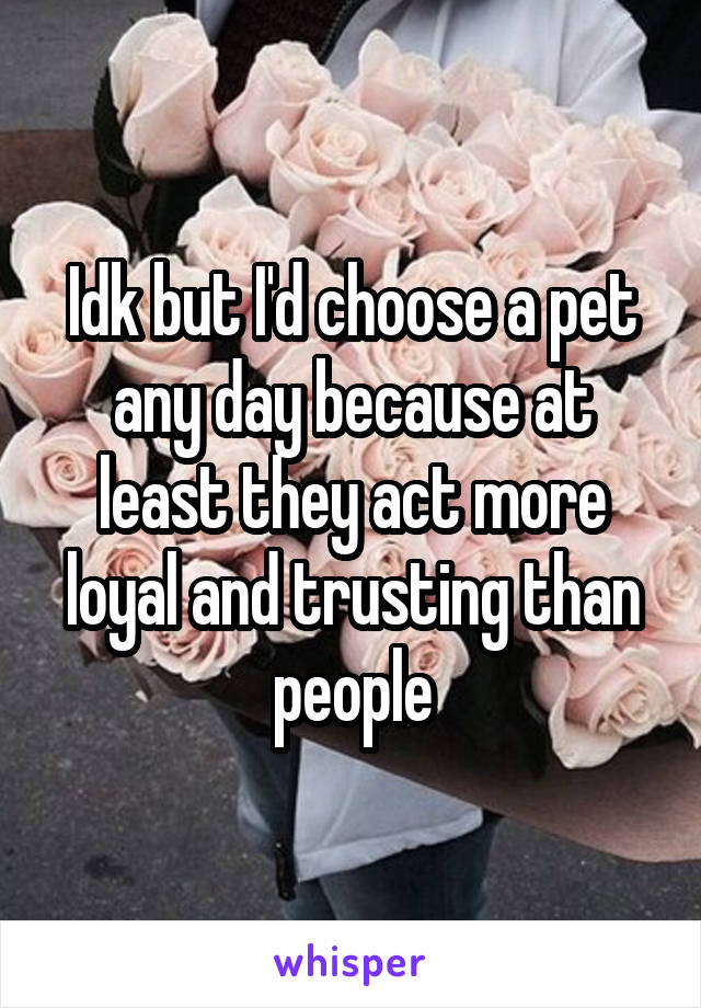 Idk but I'd choose a pet any day because at least they act more loyal and trusting than people