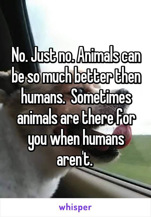 No. Just no. Animals can be so much better then humans.  Sometimes animals are there for you when humans aren't. 