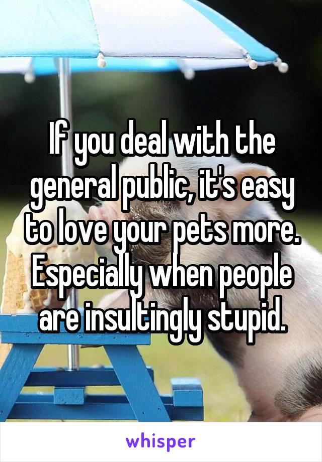 If you deal with the general public, it's easy to love your pets more. Especially when people are insultingly stupid.