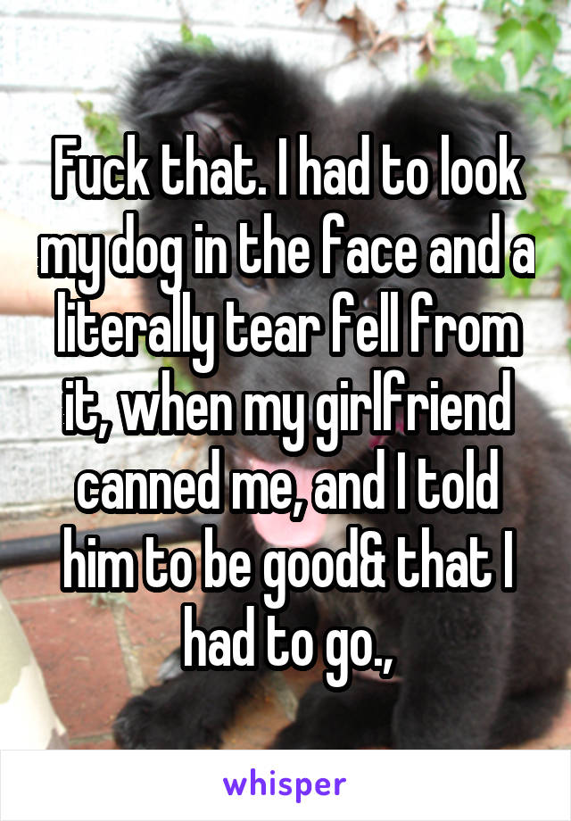 Fuck that. I had to look my dog in the face and a literally tear fell from it, when my girlfriend canned me, and I told him to be good& that I had to go.,