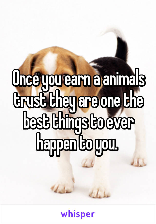 Once you earn a animals trust they are one the best things to ever happen to you. 