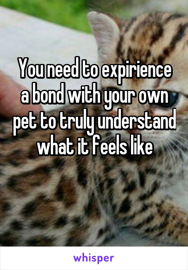 You need to expirience a bond with your own pet to truly understand what it feels like

