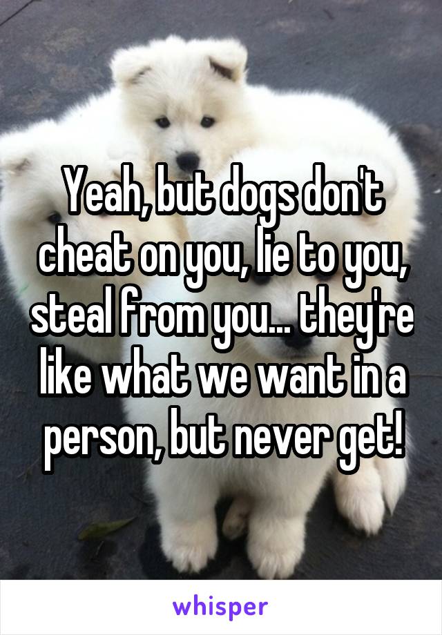 Yeah, but dogs don't cheat on you, lie to you, steal from you... they're like what we want in a person, but never get!