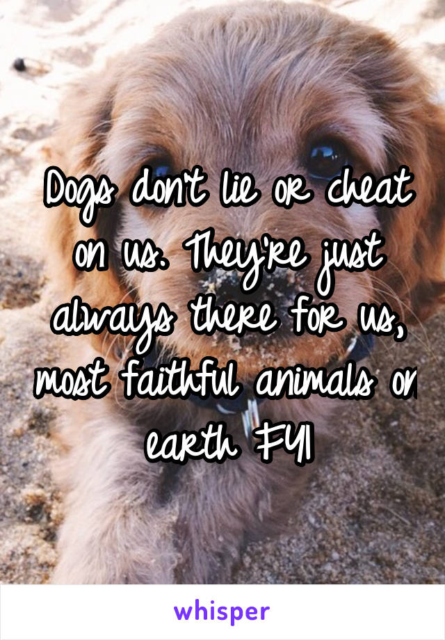 Dogs don't lie or cheat on us. They're just always there for us, most faithful animals on earth FYI