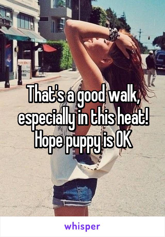 That's a good walk, especially in this heat!
Hope puppy is OK