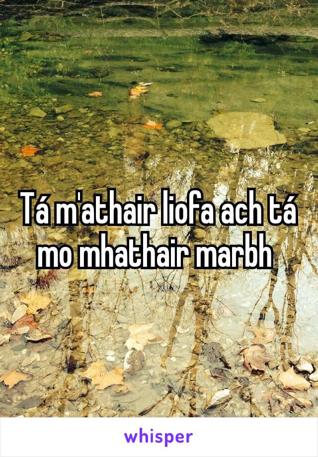 Tá m'athair liofa ach tá mo mhathair marbh 