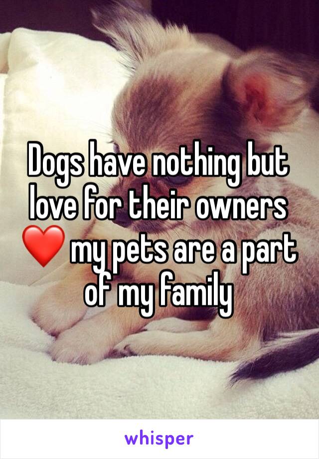 Dogs have nothing but love for their owners ❤️ my pets are a part of my family