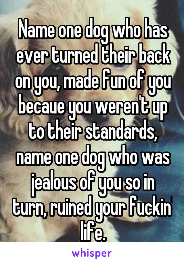 Name one dog who has ever turned their back on you, made fun of you becaue you weren't up to their standards, name one dog who was jealous of you so in turn, ruined your fuckin' life.