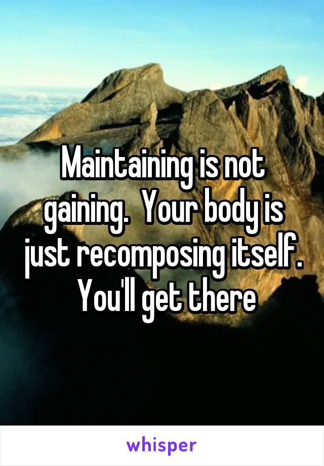 Maintaining is not gaining.  Your body is just recomposing itself.  You'll get there