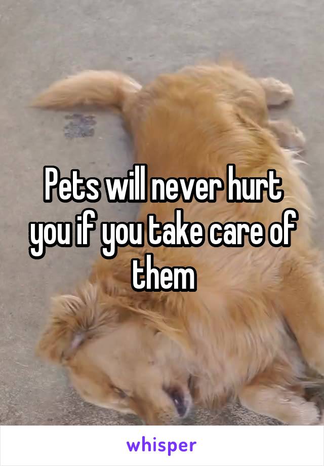 Pets will never hurt you if you take care of them