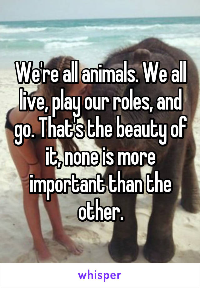 We're all animals. We all live, play our roles, and go. That's the beauty of it, none is more important than the other.