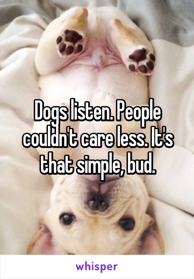 Dogs listen. People couldn't care less. It's that simple, bud.