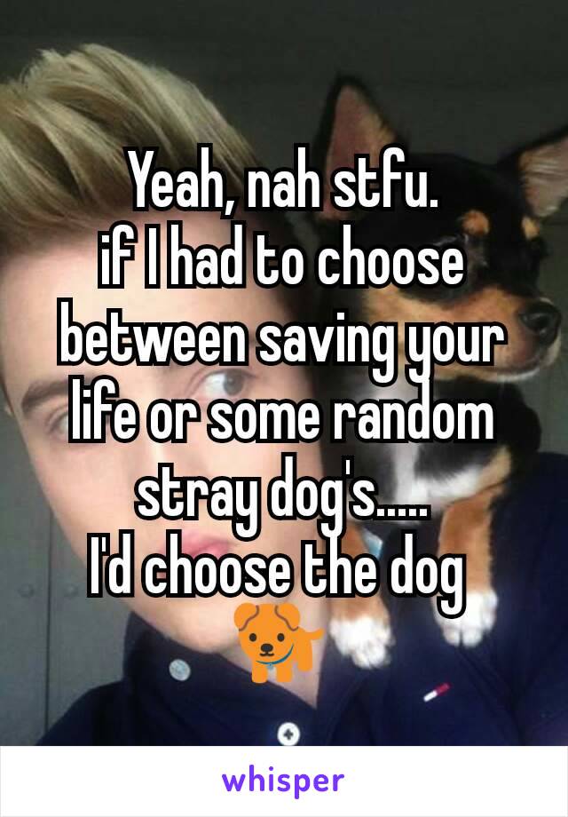 Yeah, nah stfu.
if I had to choose between saving your life or some random stray dog's.....
I'd choose the dog 
🐕 