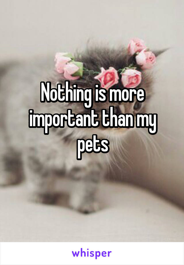 Nothing is more important than my pets
